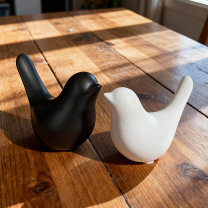 Shadow and Light | Still Companions